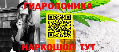 прущие грибы Гусь-Хрустальный