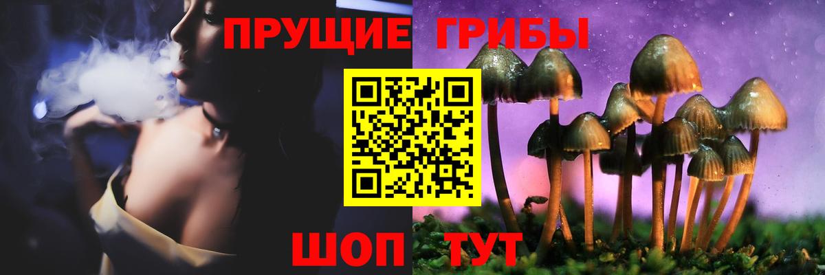 закладки  Псилоцибиновые грибы Cubensis  Вход с VPN  Первоуральск 